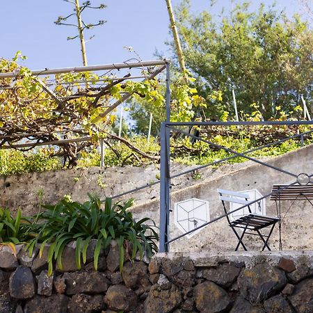 Ek Las Vistas Finca El Milagro La Orotava Esterno foto
