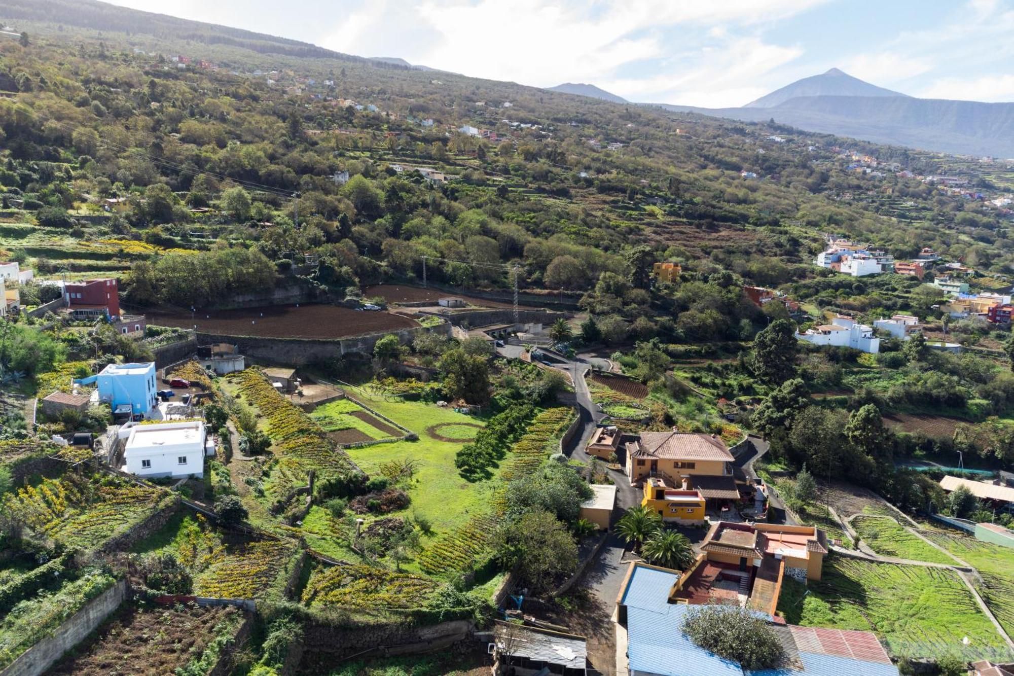 Ek Las Vistas Finca El Milagro La Orotava Esterno foto