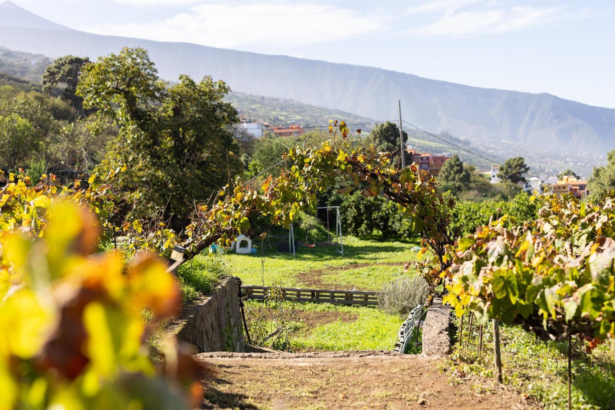 Ek Las Vistas Finca El Milagro La Orotava Esterno foto