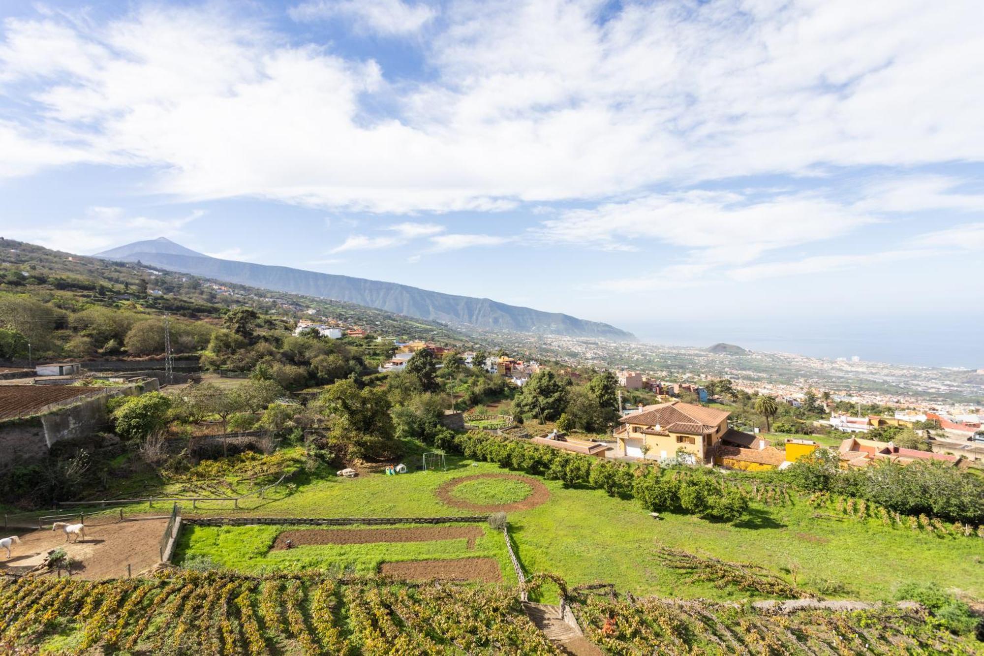 Ek Las Vistas Finca El Milagro La Orotava Esterno foto