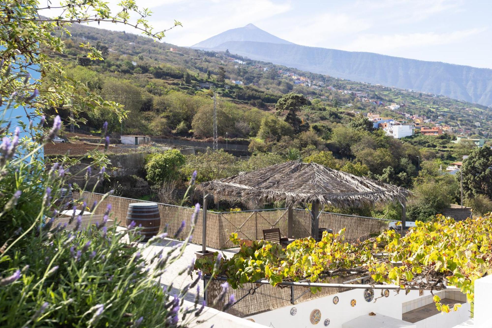 Ek Las Vistas Finca El Milagro La Orotava Esterno foto
